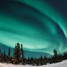 Tromsø: Northern Lights Chase with a Local Guide（Chinese/English )