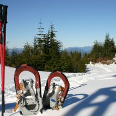 Snowshoeing Experience the Lapland