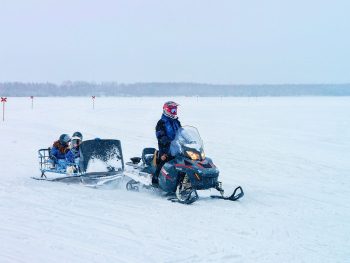 Snowmobile Safari (2h Driving)