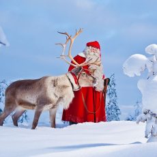 Rovaniemi must-to-do: Arctic Museum & Dou-Animal Sleigh & Santa Claus Village