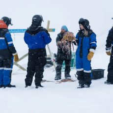 【Private Tour】King Crab Safari Round Trip from Finland