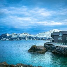 Senja Day Tour ( Chinese and English guide )