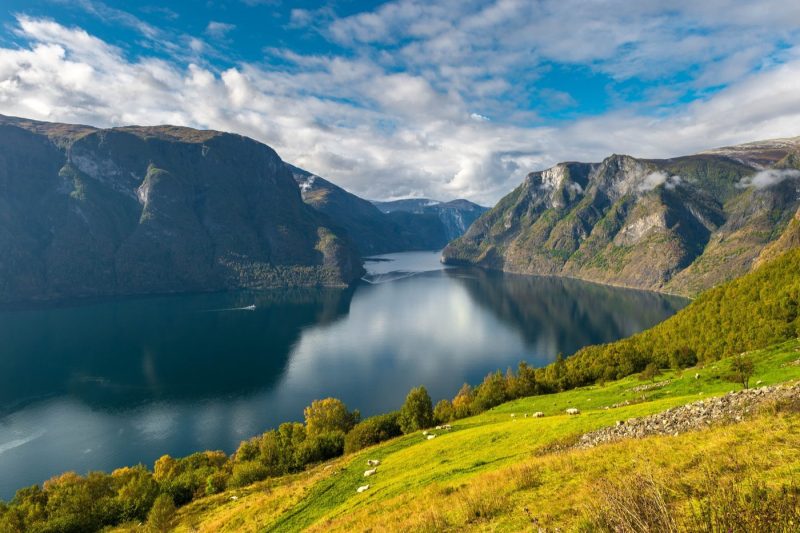 Magic Nærøyfjorden and Flåm - Image 4