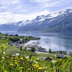 Hardanger Fjord, Waterfalls and Orchards in One Day