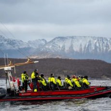 Whale Watching with RIB Departure from Tromsø