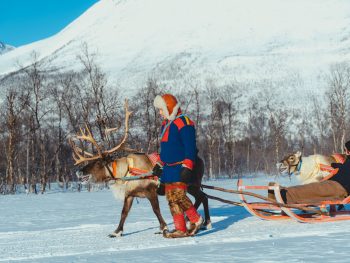 Reindeer Sledding, Reindeer Feeding and Sami Culture