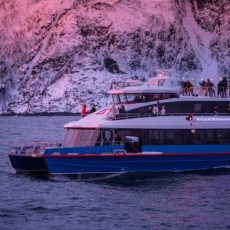 Tromsø Whale Watching with MS Rygerdronningen