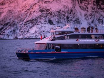 Tromsø Whale Watching with MS Rygerdronningen